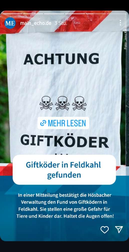 Giftköder-Giftköder - Artikel aus dem Main Echo-Profilbild