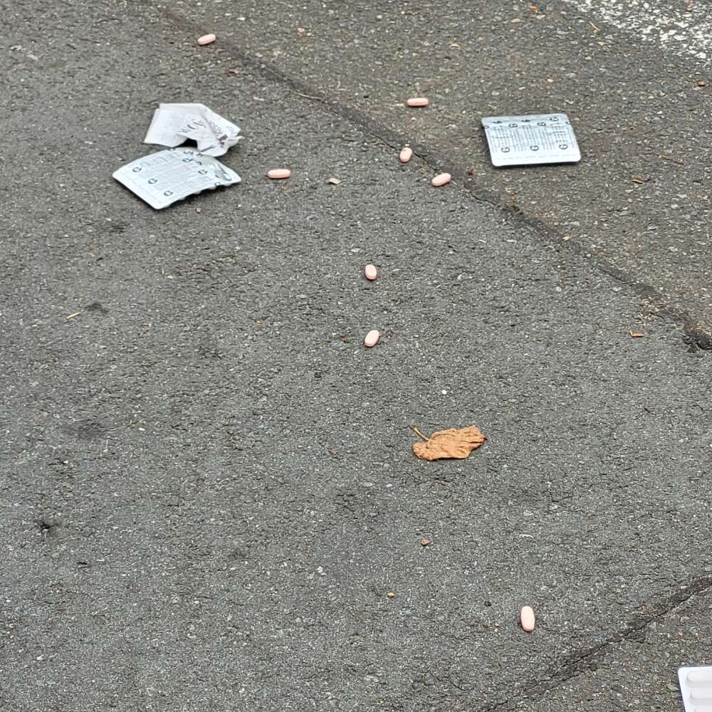 Giftköder-Tabletten und unbekanntes Futter-Profilbild