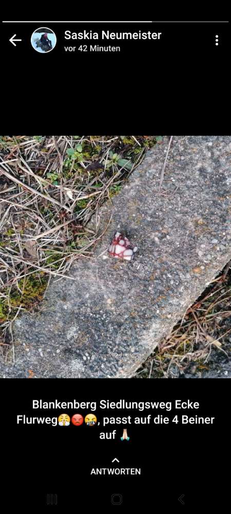 Giftköder-Vorsicht in Blankenberg-Profilbild