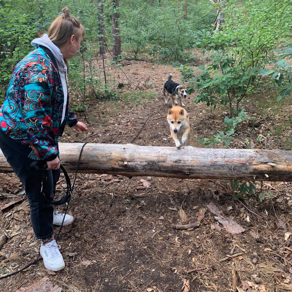 Hundetreffen-Suchen einen Kumpel oder Kumpeline-Profilbild