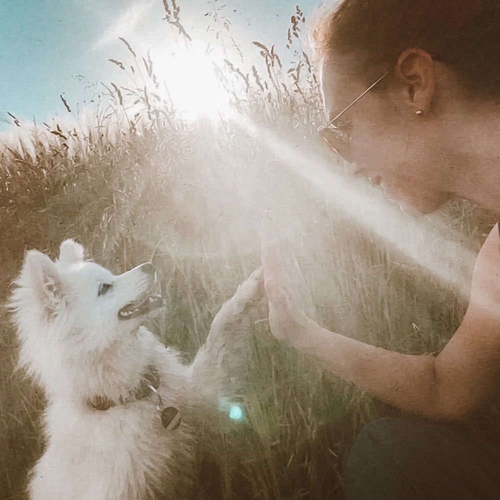 Hundetreffen-Gemeinsame Spaziergänge und Ausflüge-Profilbild