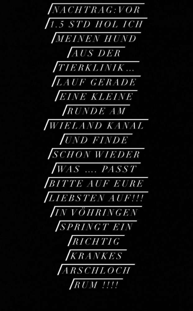 Giftköder-Glasscherben mit Hünchenwurst-Profilbild