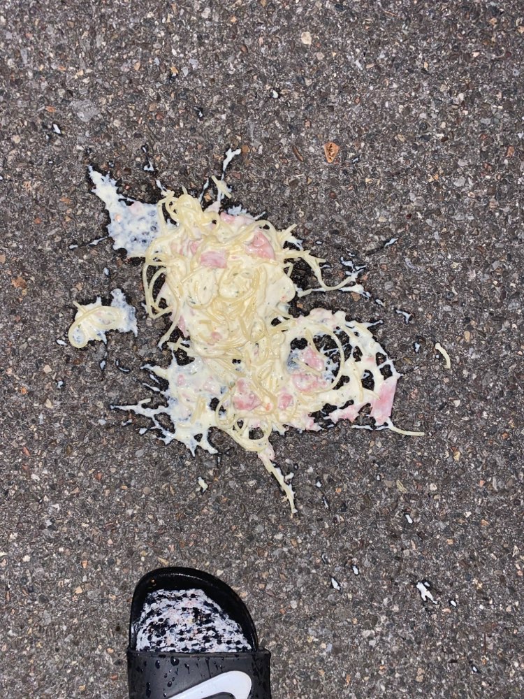 Giftköder-Giftköder-Profilbild