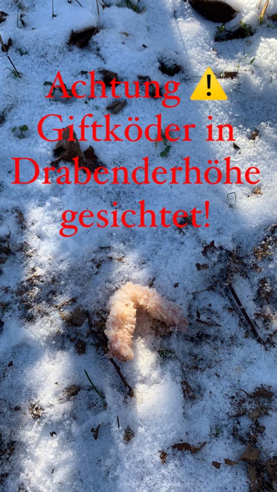 Giftköder-Giftköder gesichtet!!!-Profilbild