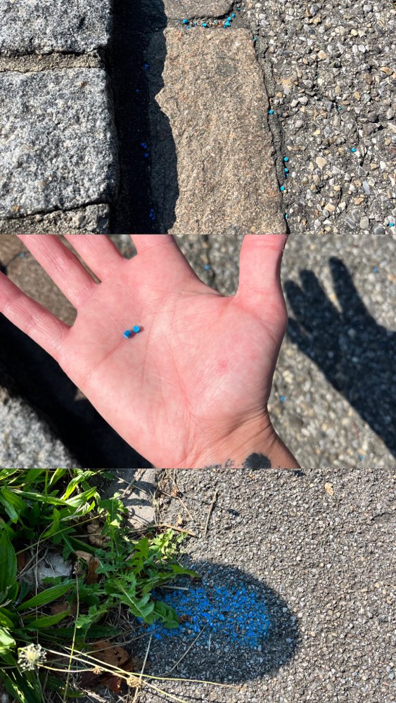 Giftköder-Schneckengift-Profilbild