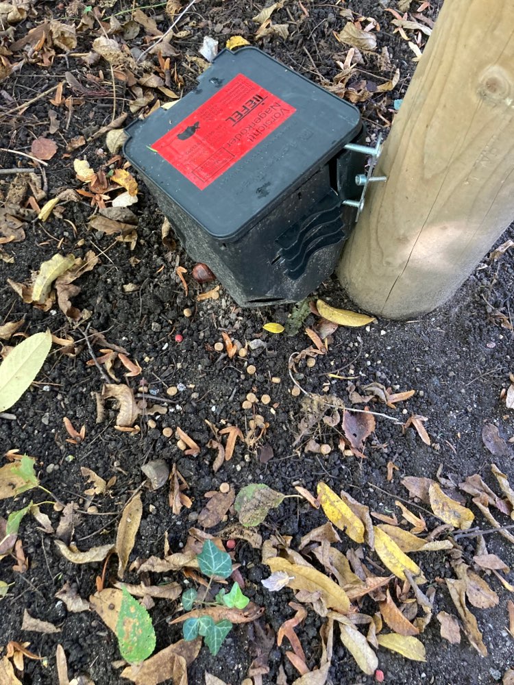 Giftköder-Fragwürdige Leckerlies an Köderbox-Profilbild