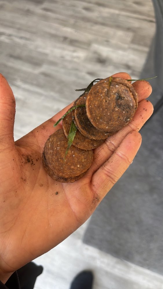 Giftköder-Versteckte Salami-Scheiben-Profilbild