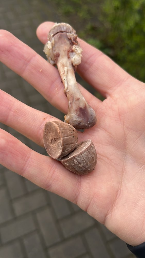 Giftköder-Hühner Knochen + Giftköder-Profilbild