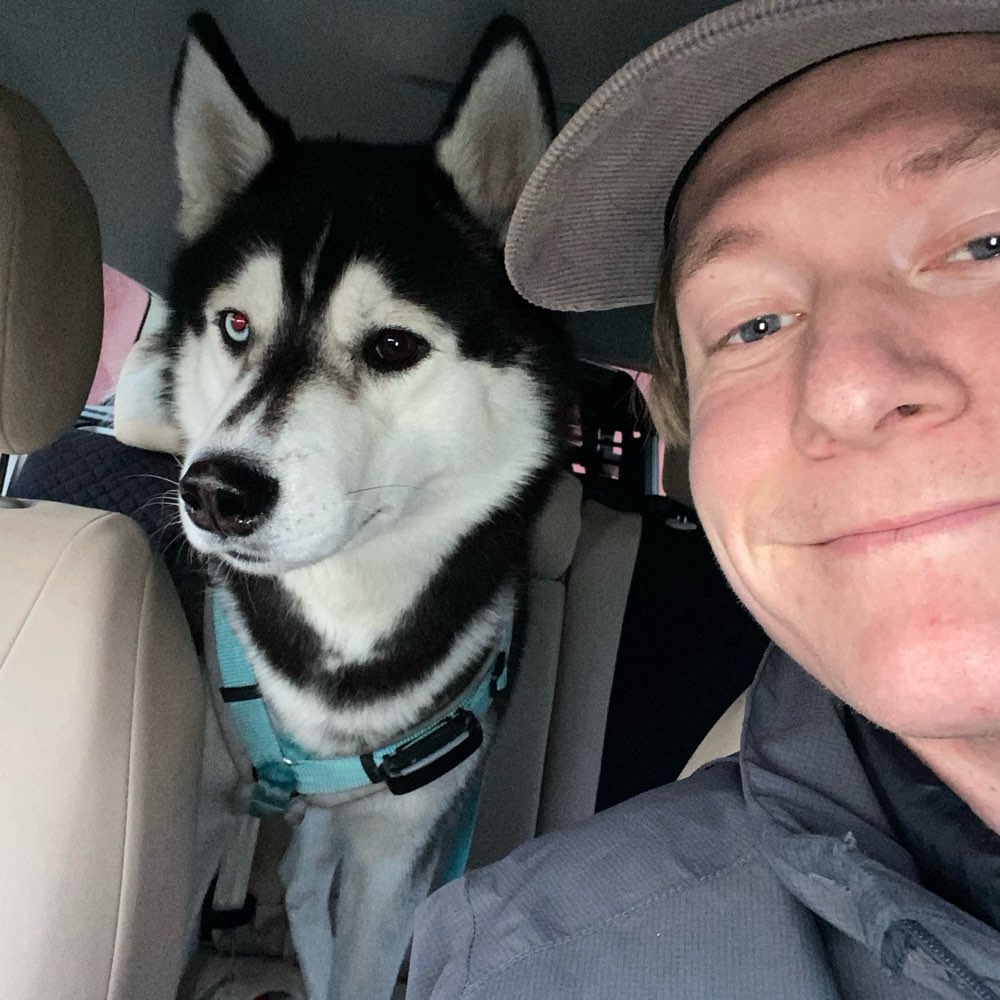 Hundetreffen-Gassirunden und spielen-Profilbild