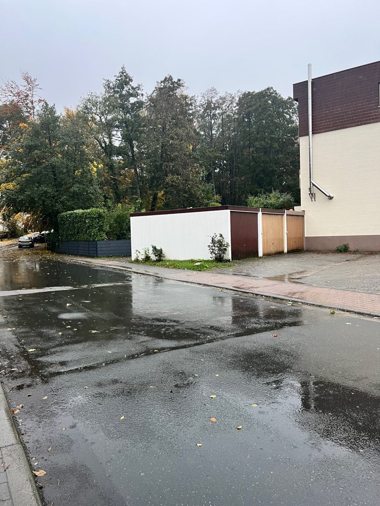 Giftköder-Tote Ratte-Profilbild