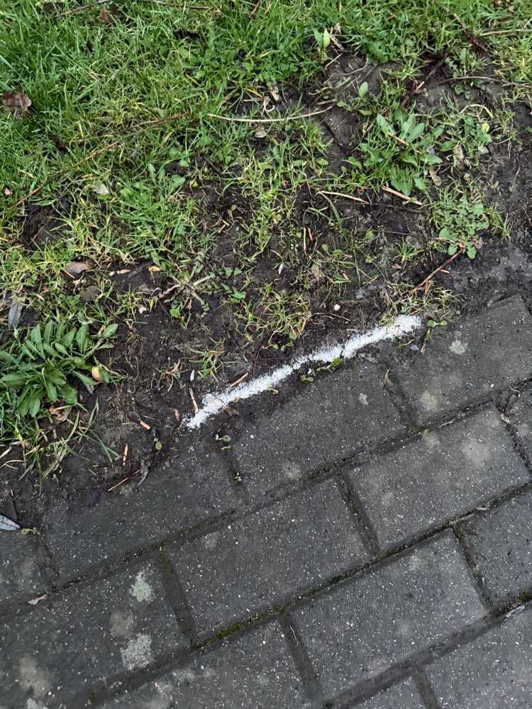 Giftköder-Weißes Pulver am Wegrand-Profilbild