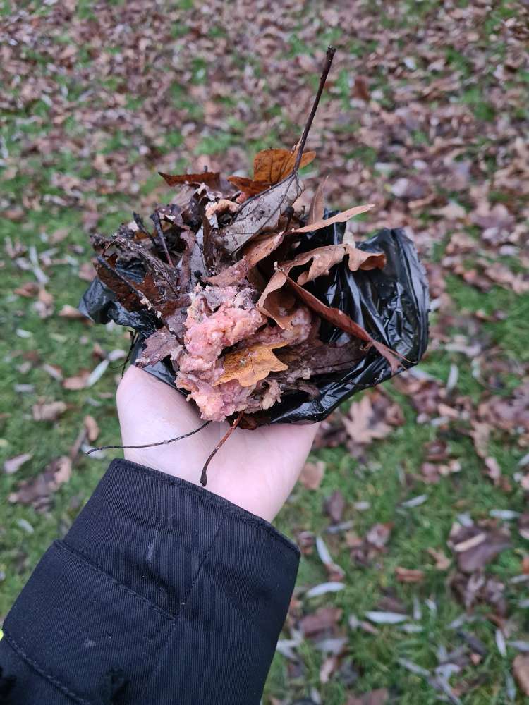 Giftköder-Fleischmasse-Profilbild