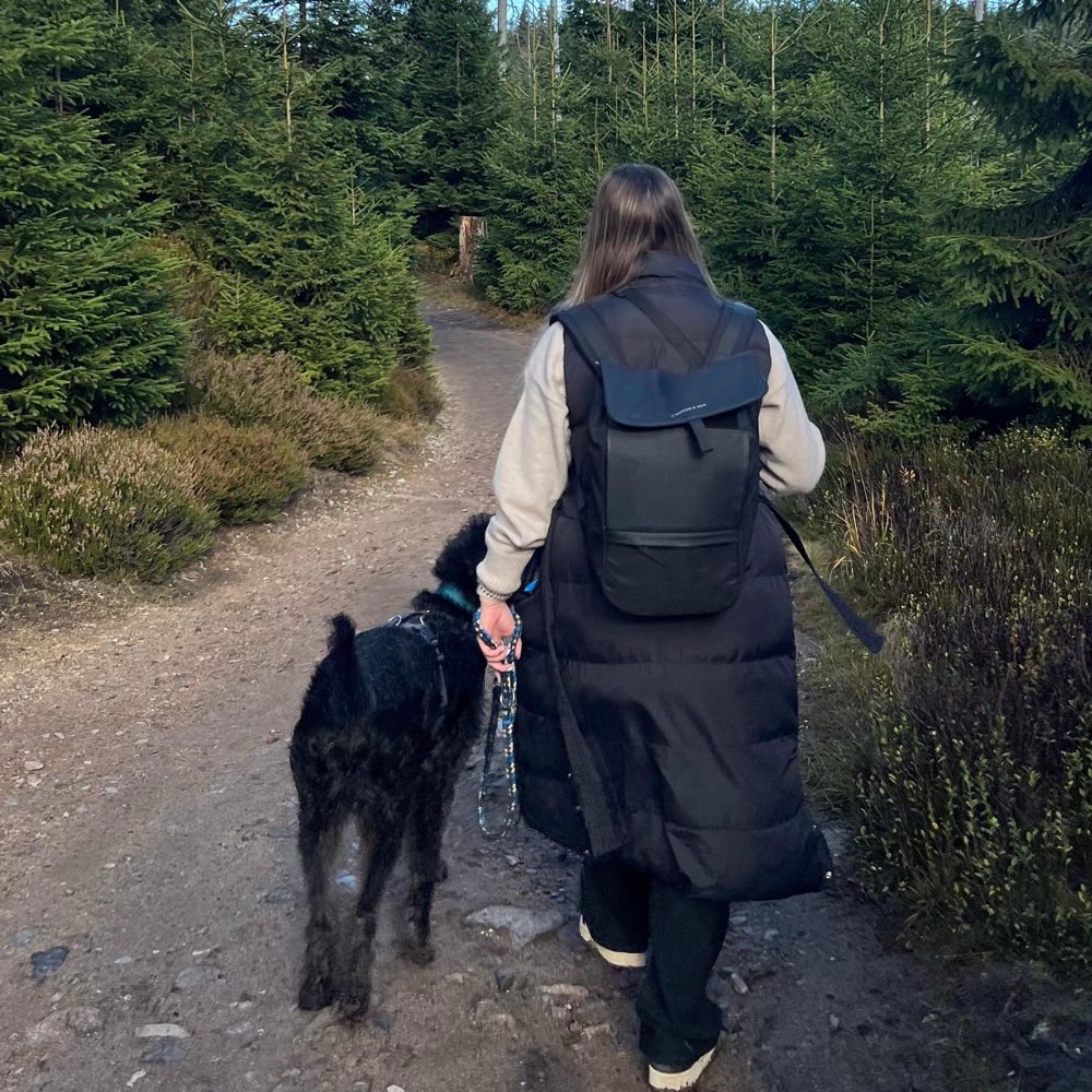 Hundetreffen-Spielfreund*in für Benni-Profilbild