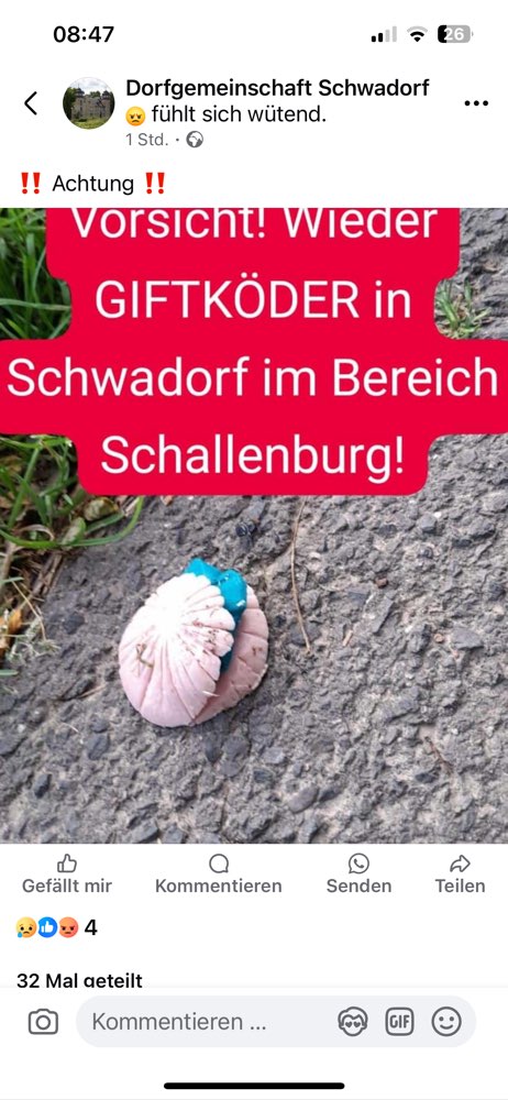 Giftköder-Gift in Fleischwurst-Profilbild