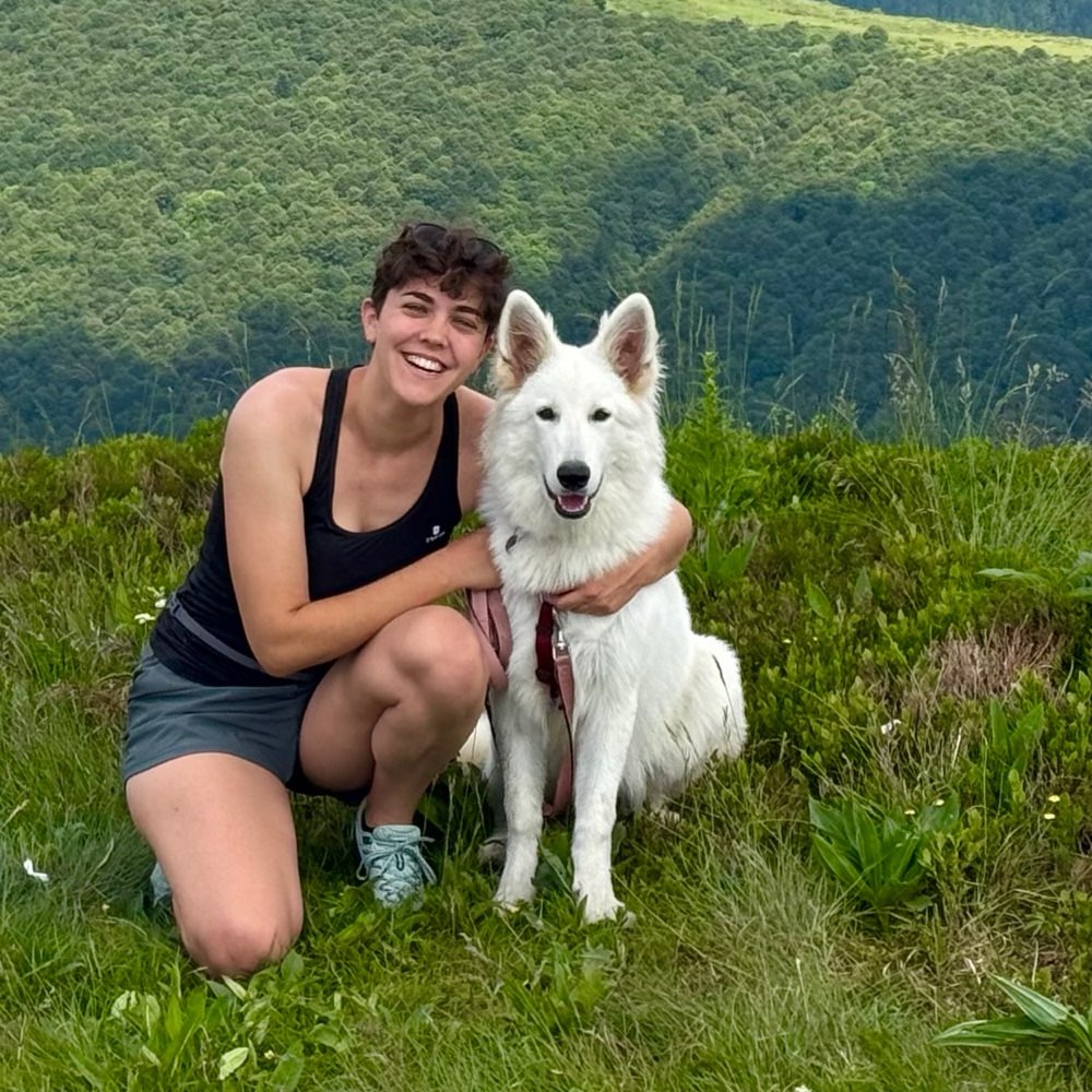Hundetreffen-Gemeinsames Training-Profilbild