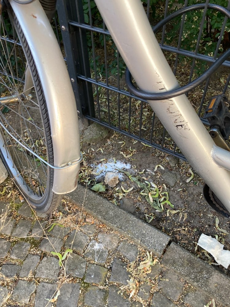 Giftköder-Weißes Pulver!-Profilbild