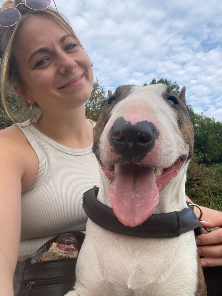 Hundetreffen-Walkies-Profilbild