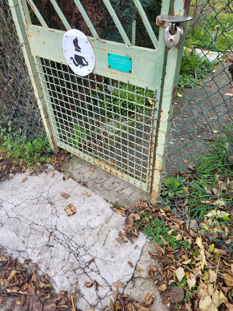 Giftköder-Ausgelegtes Futter-Profilbild