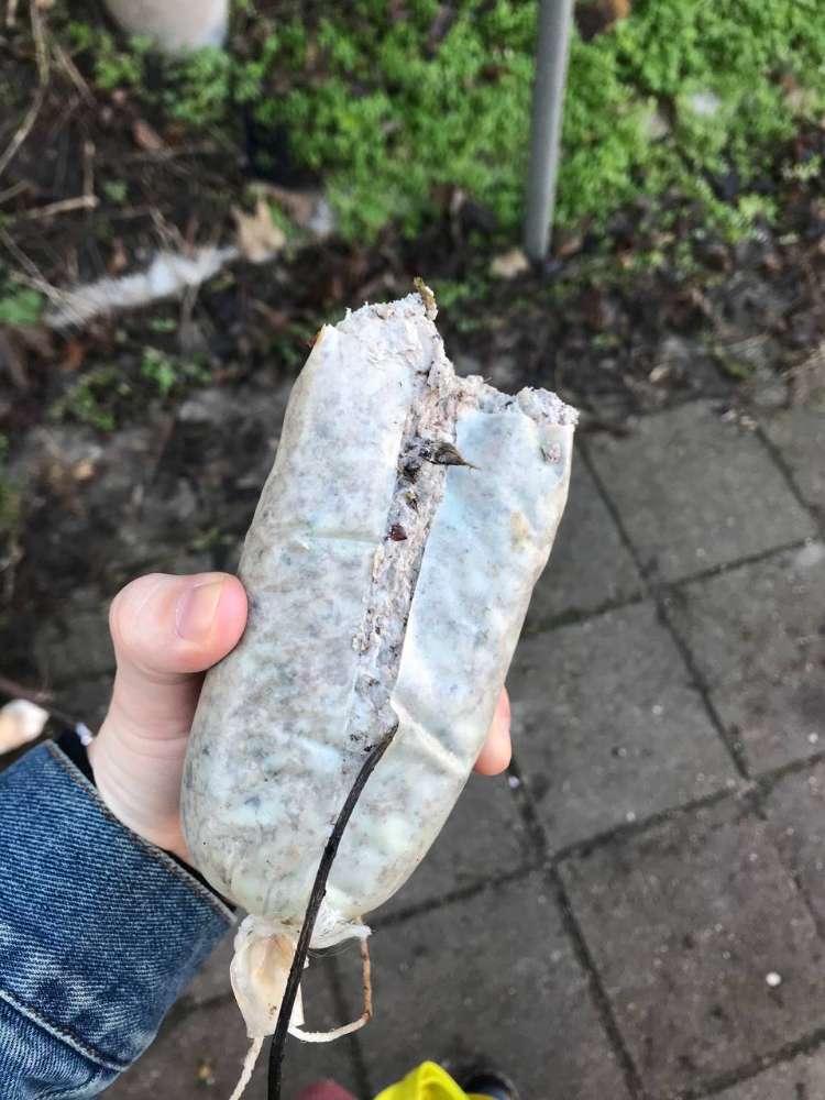 Giftköder-Vermutlich Giftköder Treppenstraße-Profilbild