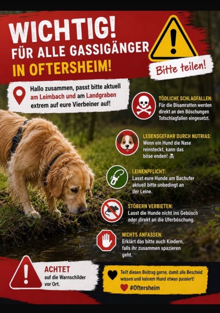 Giftköder-Schlagfallen für Bisamratten-Profilbild