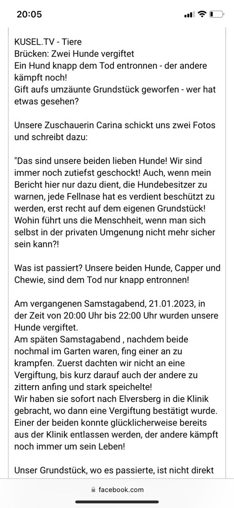 Giftköder-Giftköder-Profilbild