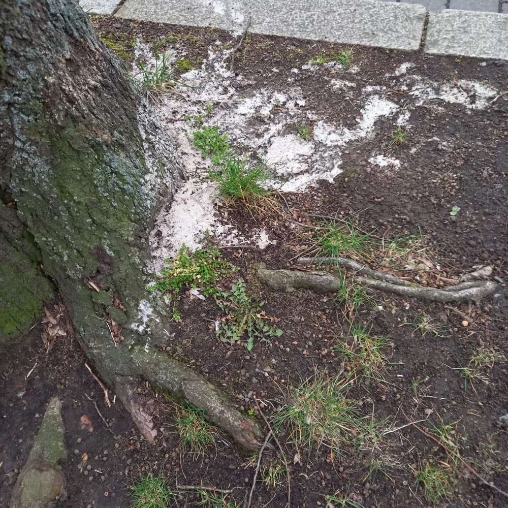 Giftköder-Achtung Gift!-Profilbild