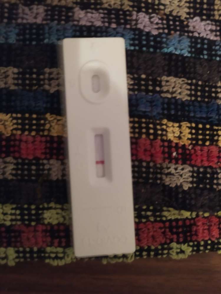 Hundetreffen-Medical Training-Profilbild