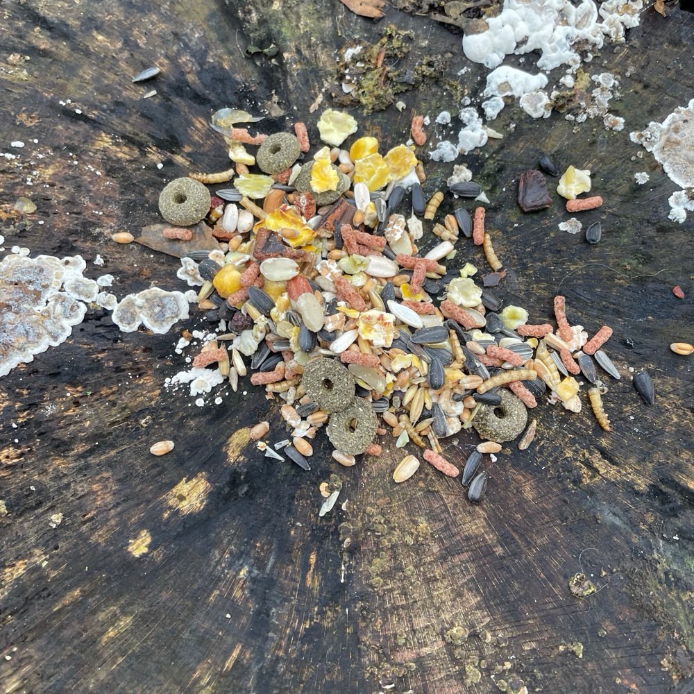 Giftköder-Achtung:Giftköder-Profilbild