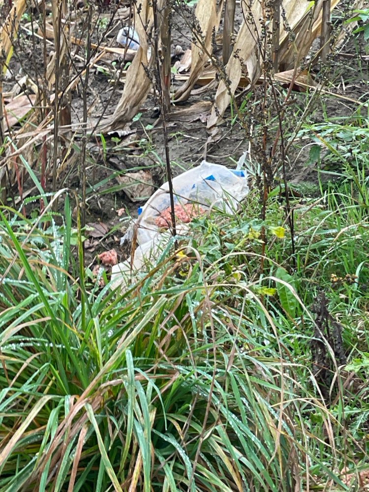 Giftköder-Evtl. Giftköder-Profilbild