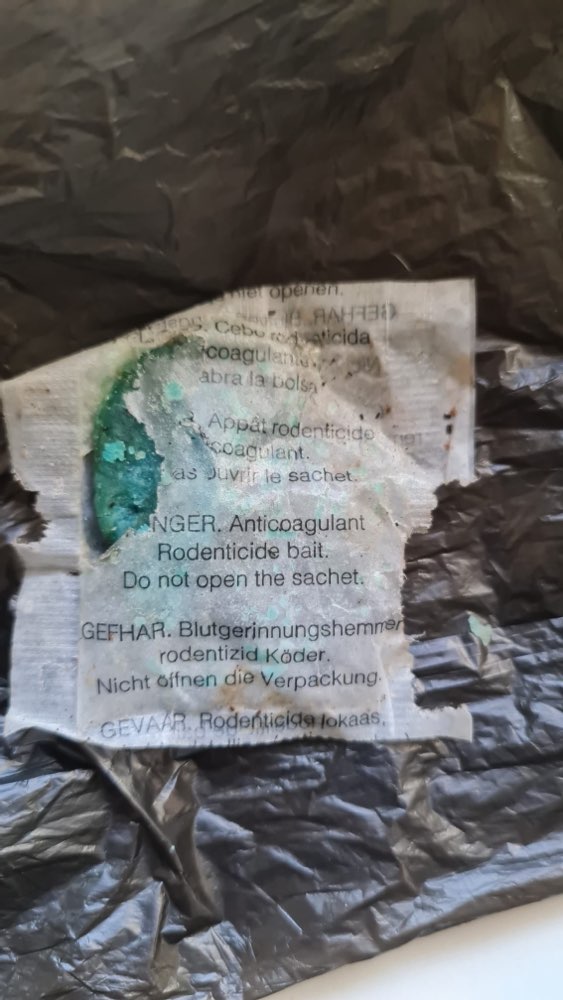 Giftköder-Giftköder!-Profilbild