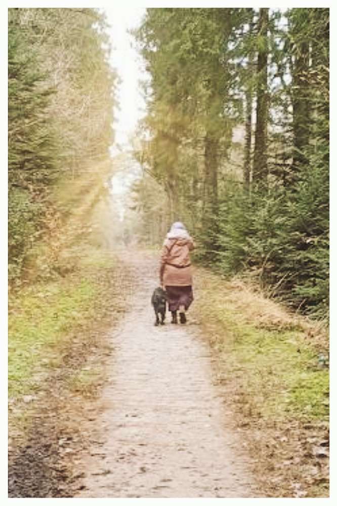 Hundetreffen-Gruppenspaziergang Wittmund-Profilbild