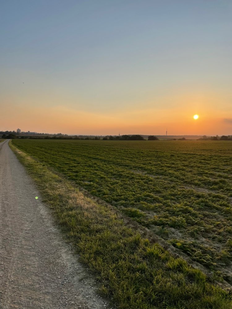 Hundetreffen-Gassirunde-Profilbild