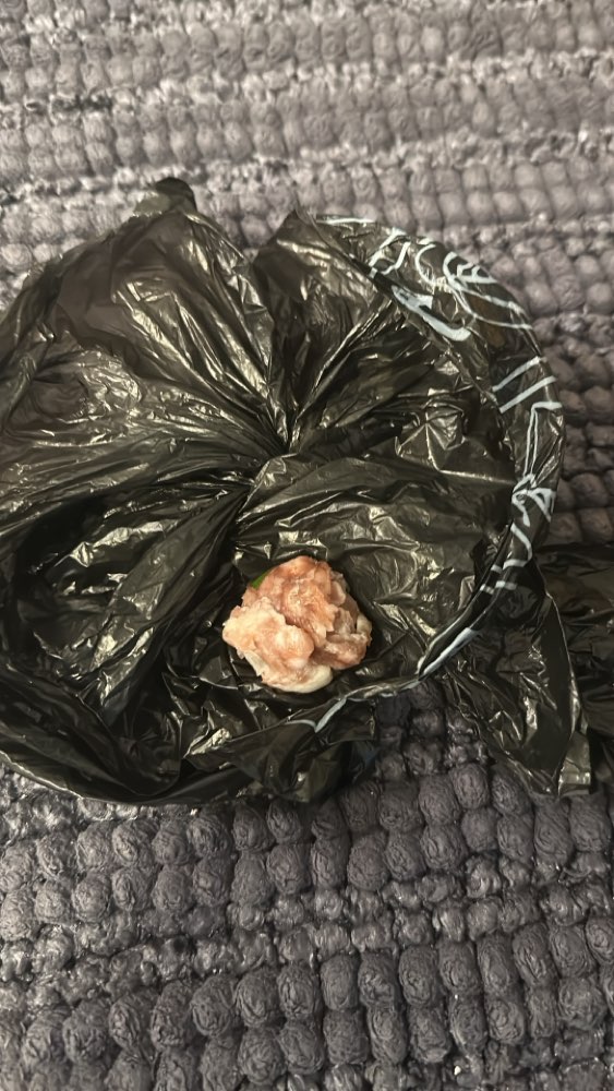 Giftköder-Evtl. Giftköder?-Profilbild