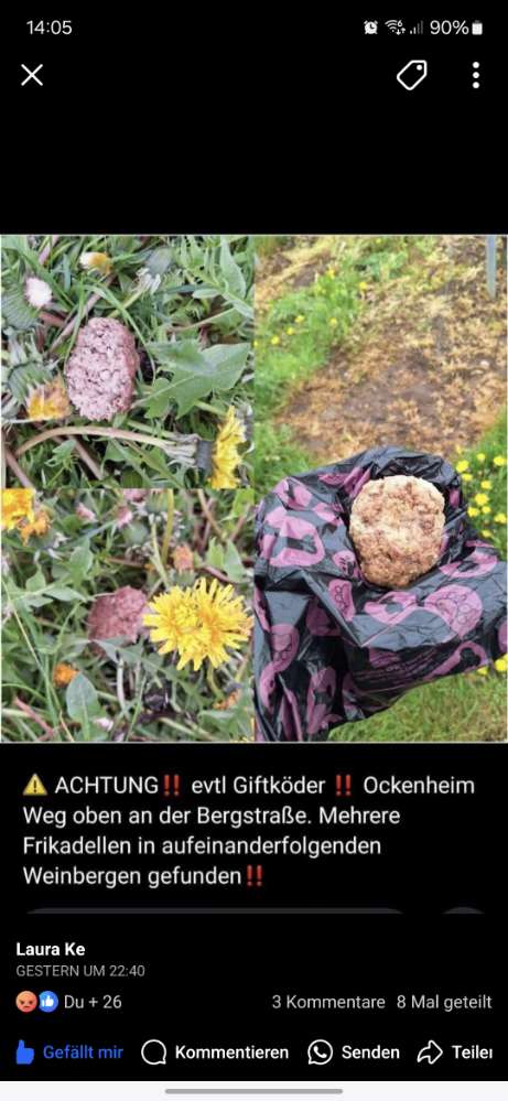 Giftköder-Frikadellen, evtl. Giftköder-Profilbild
