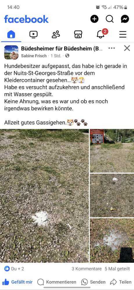 Giftköder-Weißes pulver-Profilbild