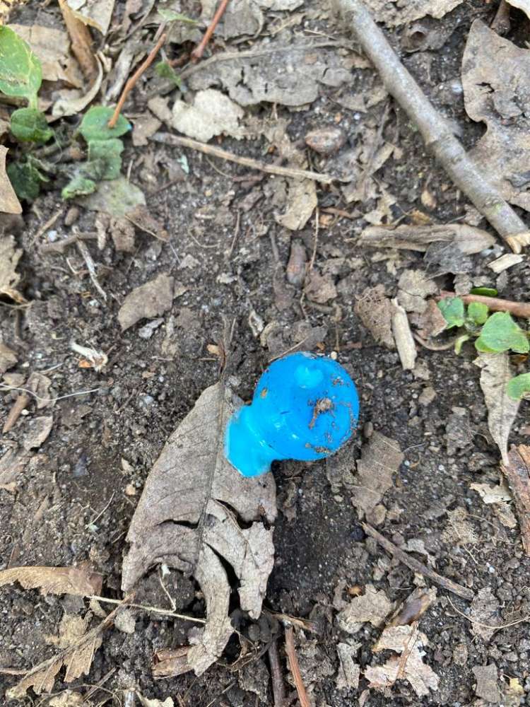 Giftköder-Blaue Kügelchen-Profilbild