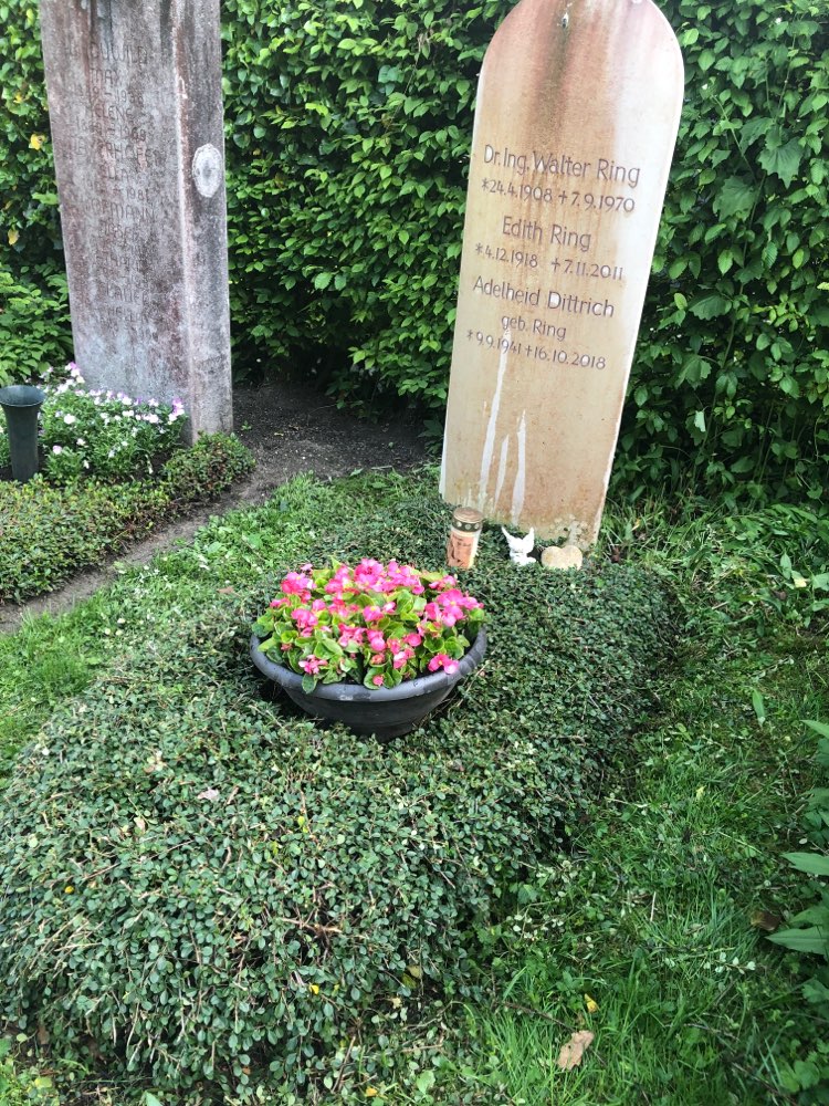 Giftköder-Eventuell Giftköder-Profilbild