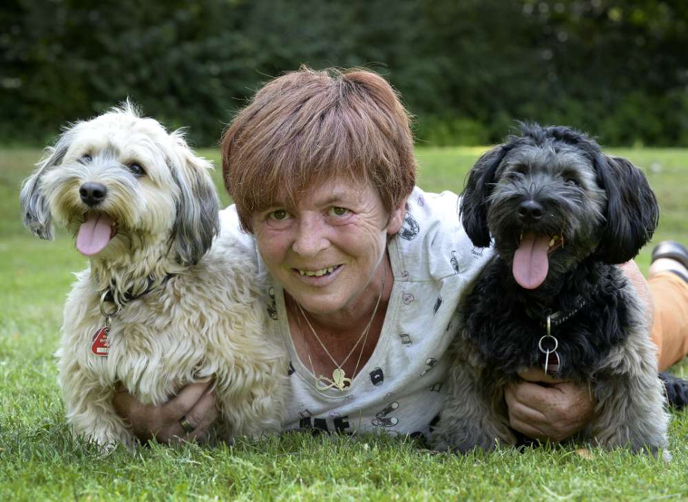 Hundetreffen-Treffen Brücke zum Tetraeder Bottrop-Profilbild