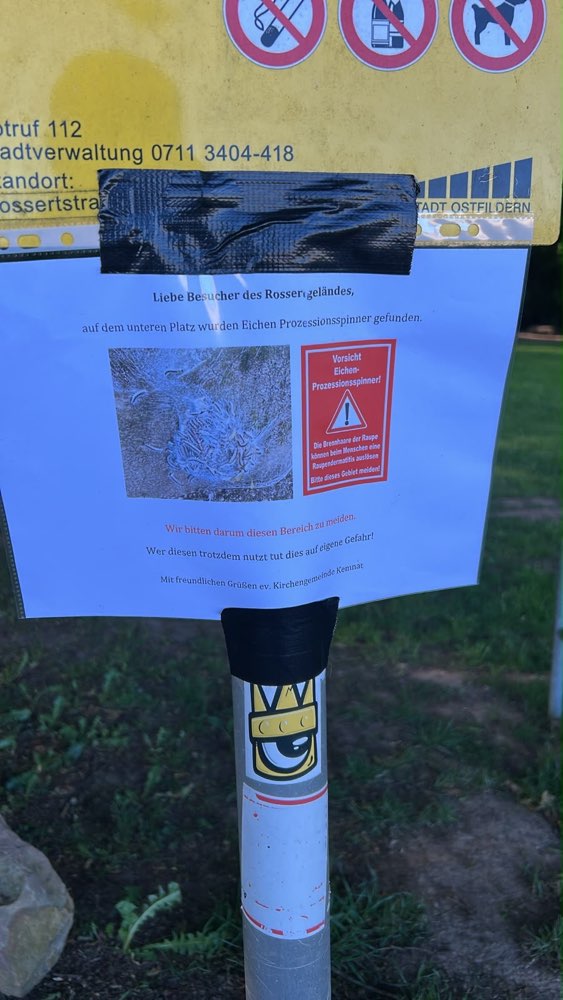 Giftköder-Eichenprozessionsspinner-Profilbild