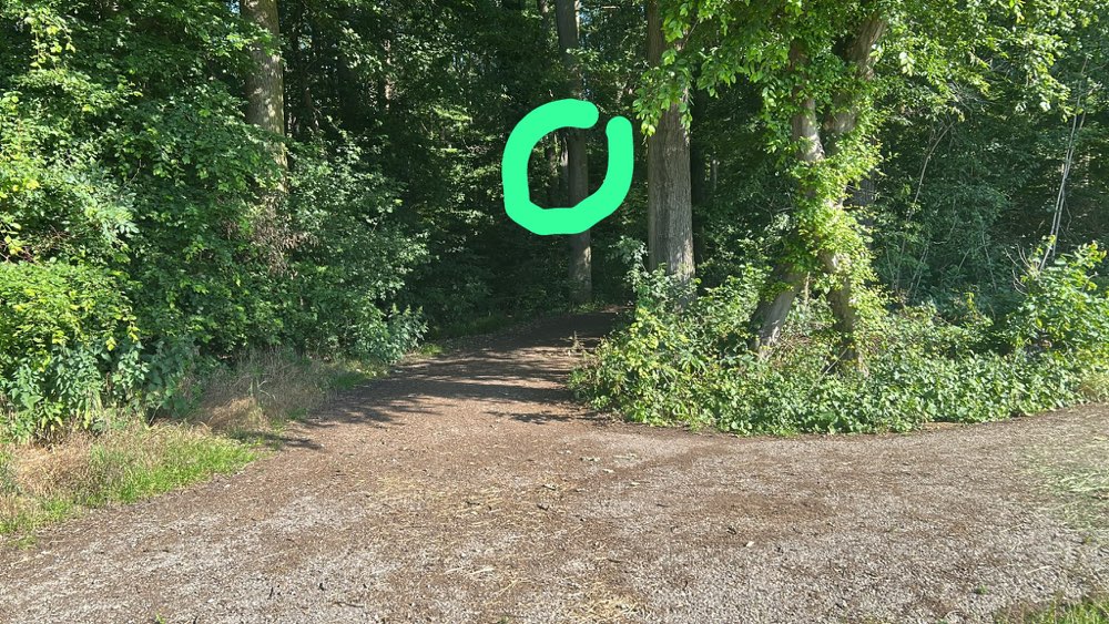 Giftköder-Eichenprozessionsspinner-Profilbild
