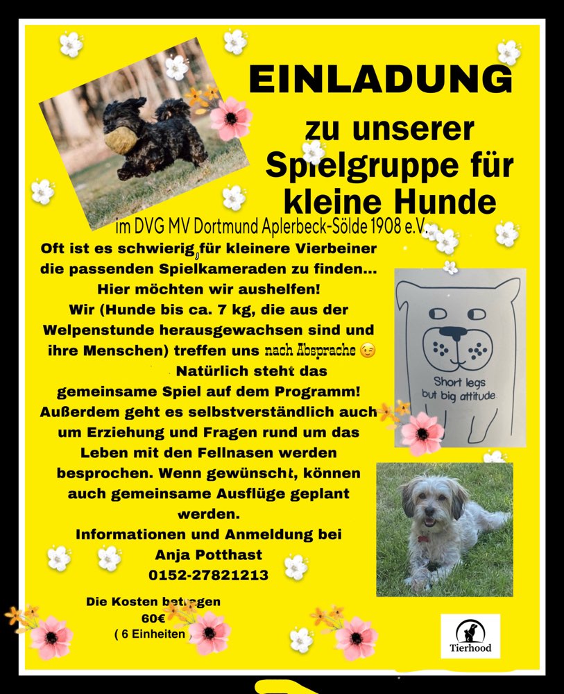 Hundetreffen-Spielgruppe für kleine Hunde-Profilbild