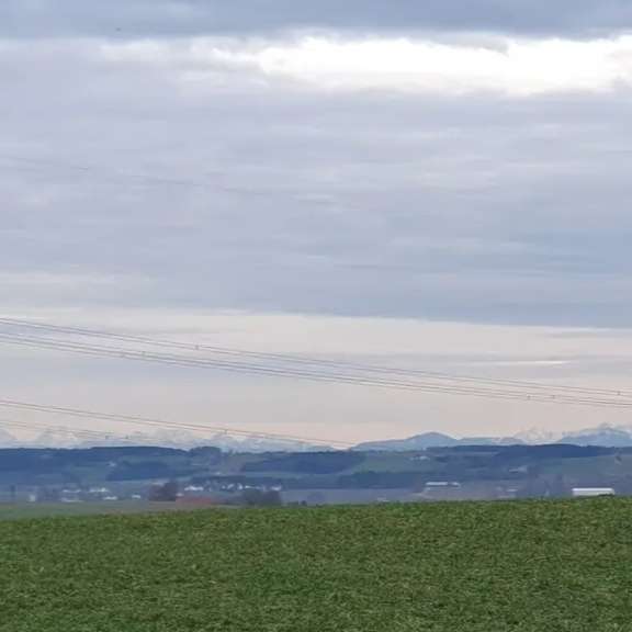 Hundetreffen-Junghundetreffen / Abenteuer erleben-Profilbild