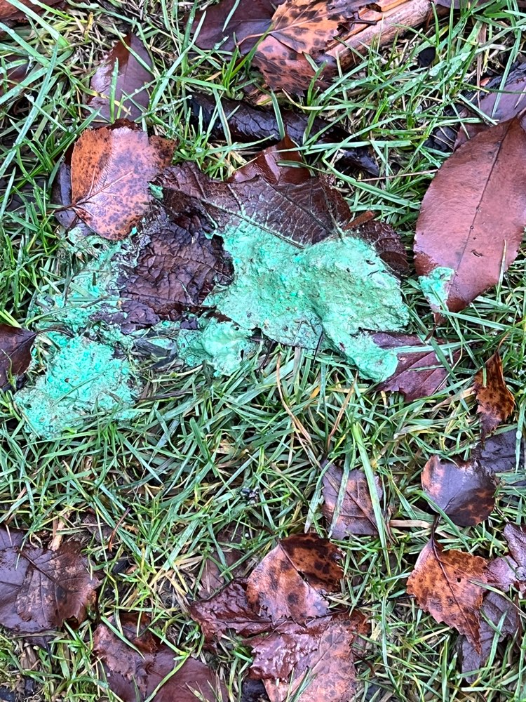 Giftköder-Gift Köder-Profilbild