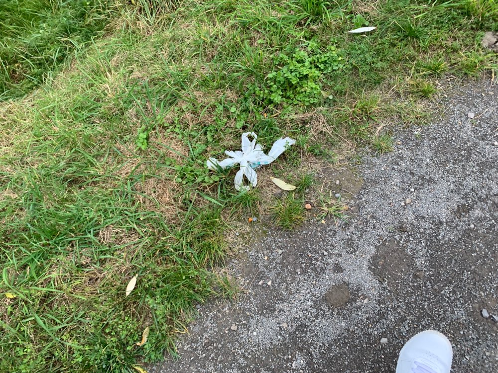 Giftköder-Giftköder-Profilbild