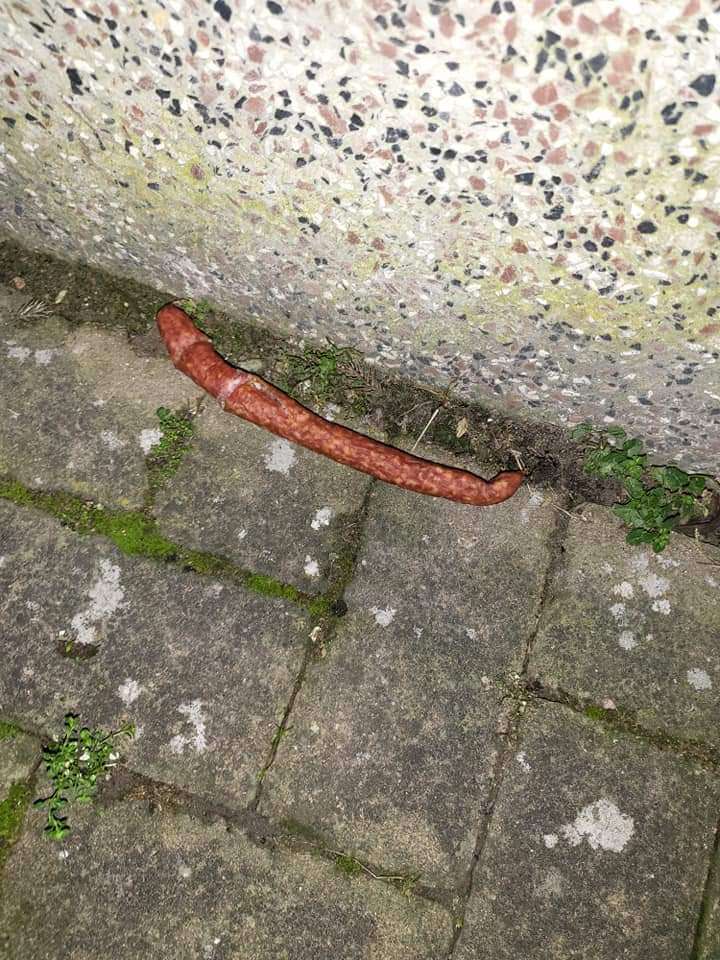 Giftköder-Giftköder Rohesser-Profilbild