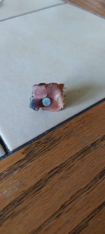 Giftköder-Schinken mit Nägel-Profilbild