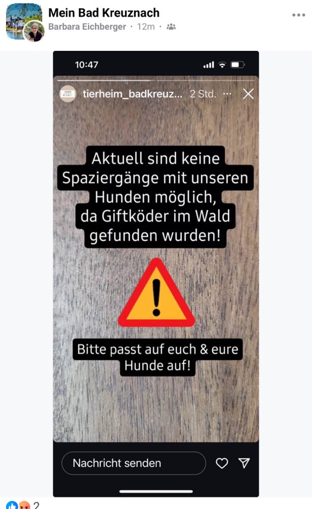 Giftköder-Giftköder im Wald-Profilbild