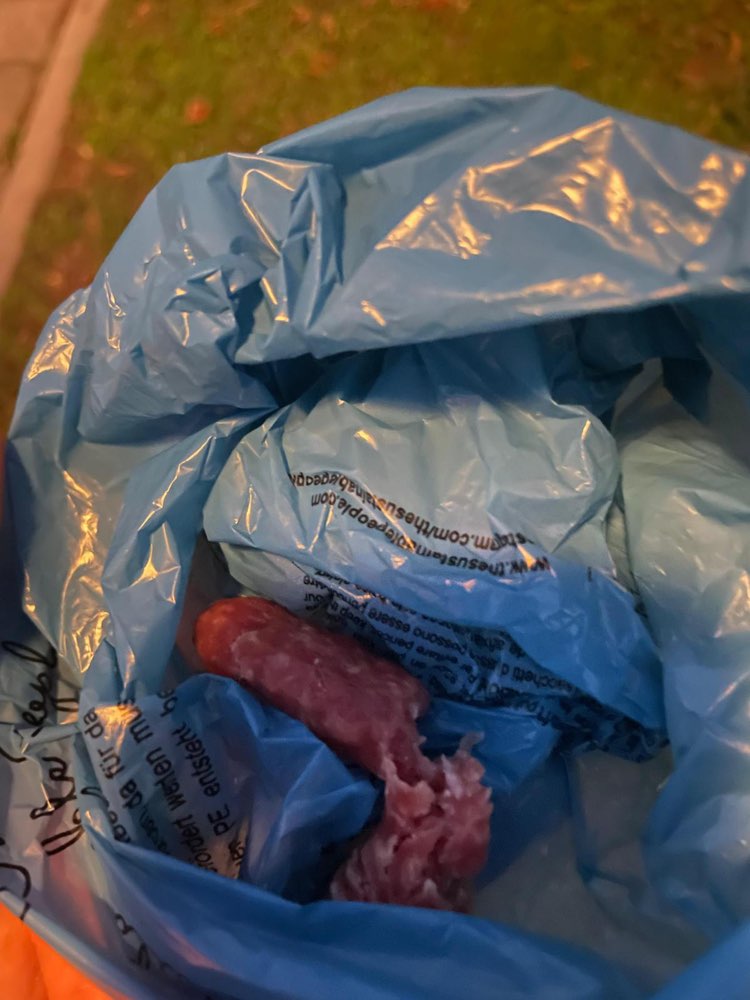 Giftköder-Vermutlich Giftköder-Profilbild