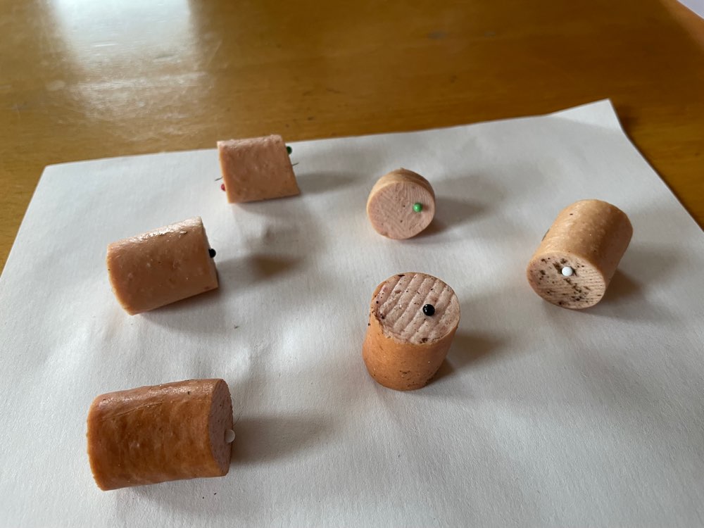 Giftköder-Giftköder-Profilbild