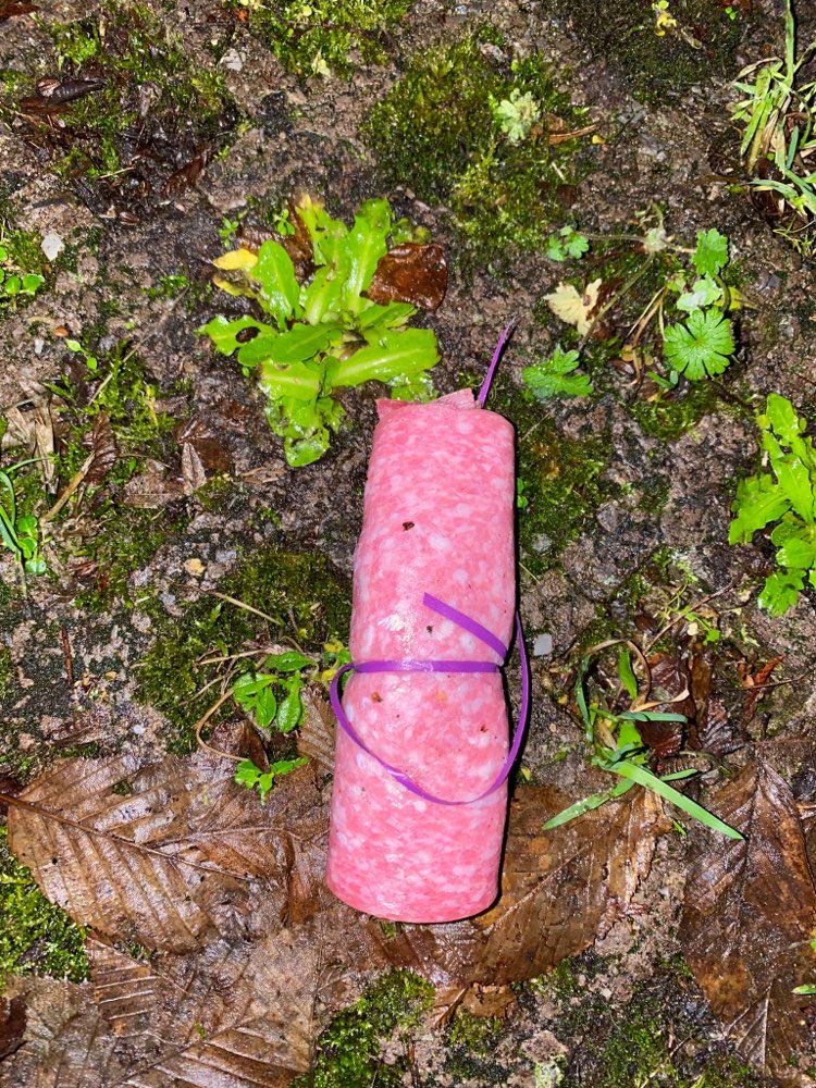 Giftköder-GIFTKÖDER-Profilbild